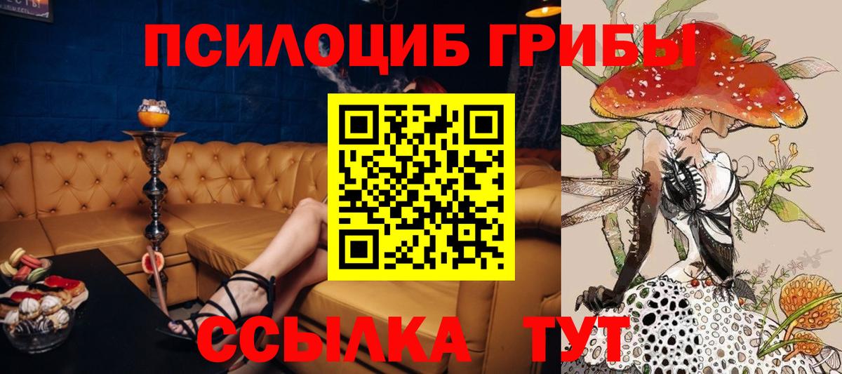 Псилоцибиновые грибы мухоморы  Псилоцибиновые грибы Psilocybe  Вход с VPN  Гусь-Хрустальный 