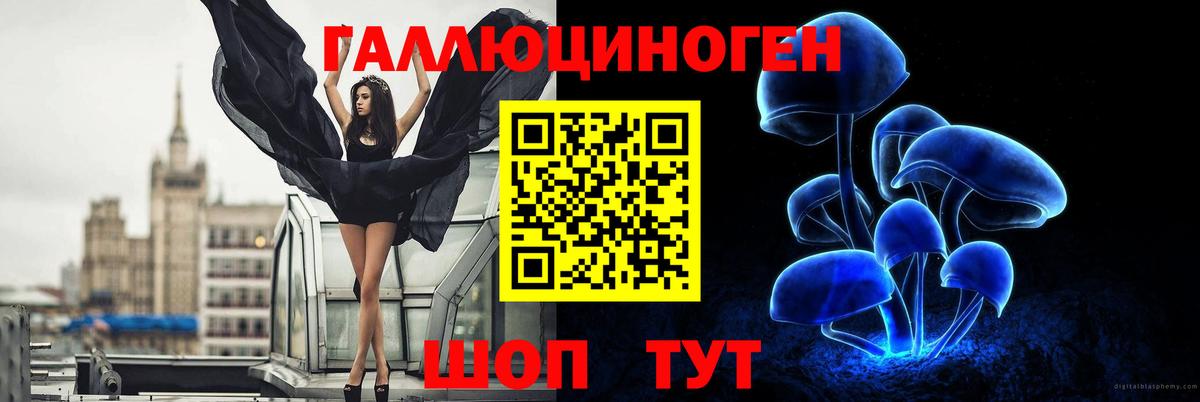 Галлюциногенные грибы прущие грибы Гусь-Хрустальный