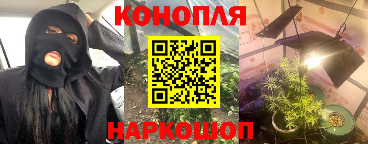 Бошки марихуана THC 21%  Шишки марихуана тримм  Вход с VPN  Гусь-Хрустальный  Бошки марихуана индика 